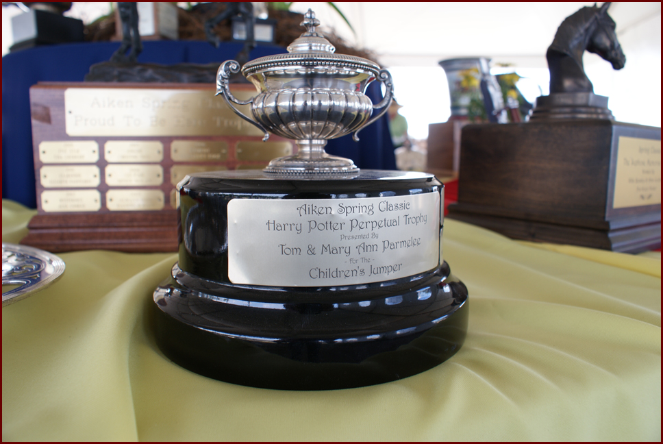 The Harry Potter Trophy by Mary Ann & Tom Parmelee
